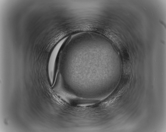 X0000098160393200804171604