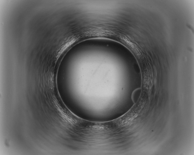 X0000098160394200804171604