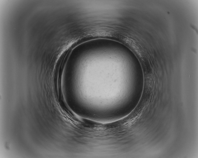 X0000098160395200804171604