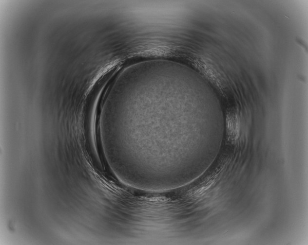 X0000098160396200804171604