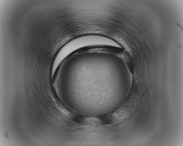 X0000098160397200804171604