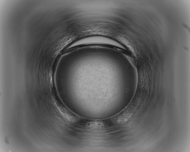 X0000098160398200804171604