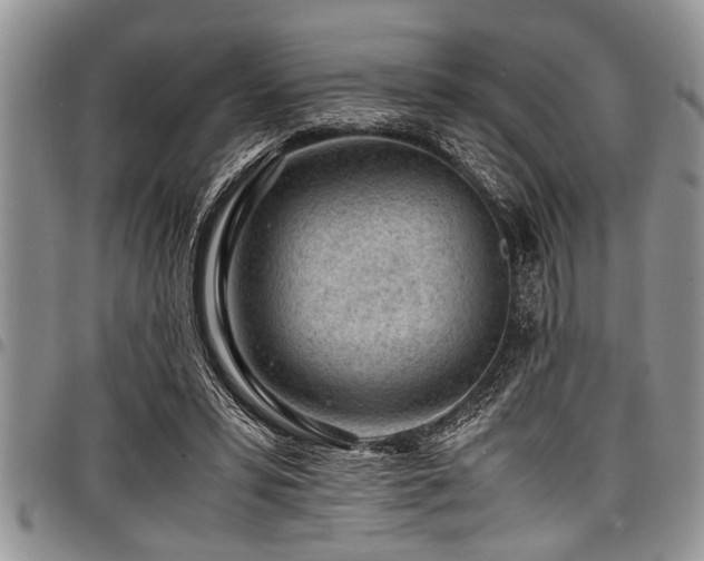 X0000098160399200804171604