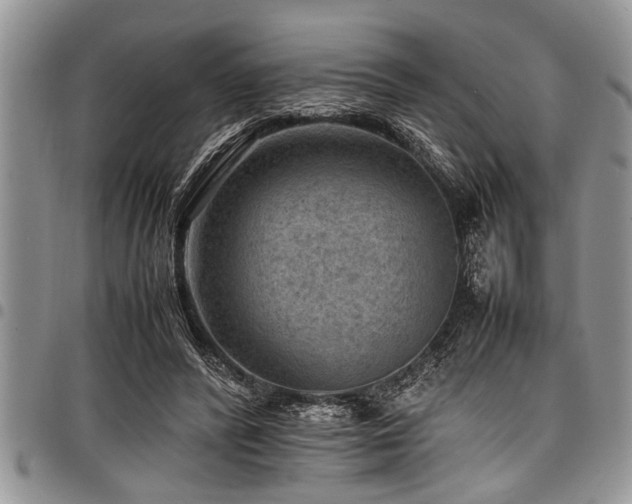X0000098160400200804171604