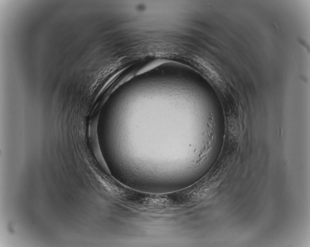 X0000098160401200804171604