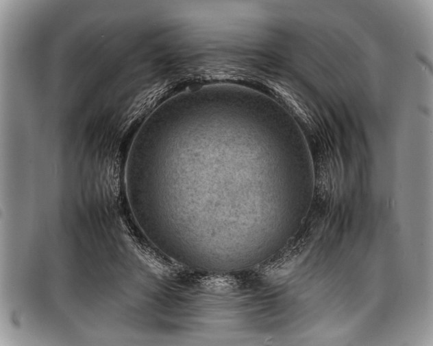 X0000098160402200804171604