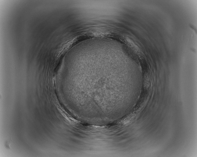 X0000098160405200804171604