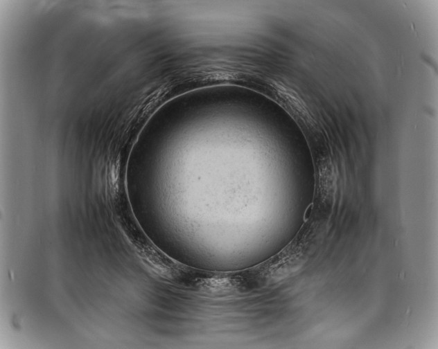 X0000098160406200804171604