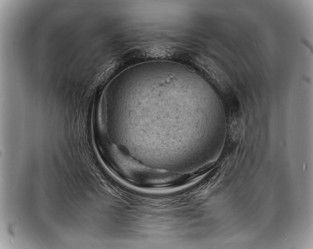 X0000098160407200804171604