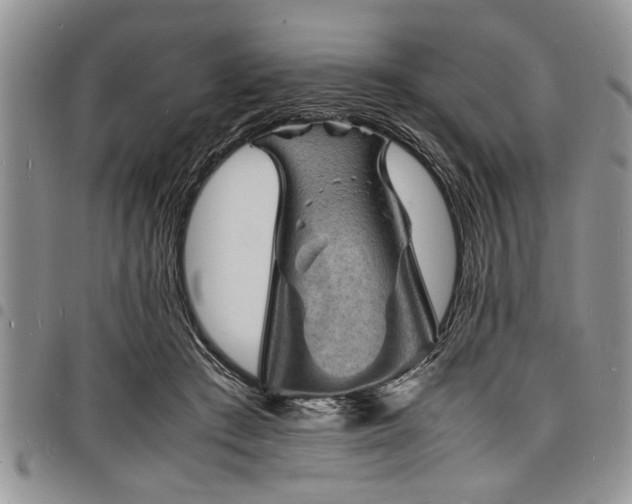 X0000098160409200804171604