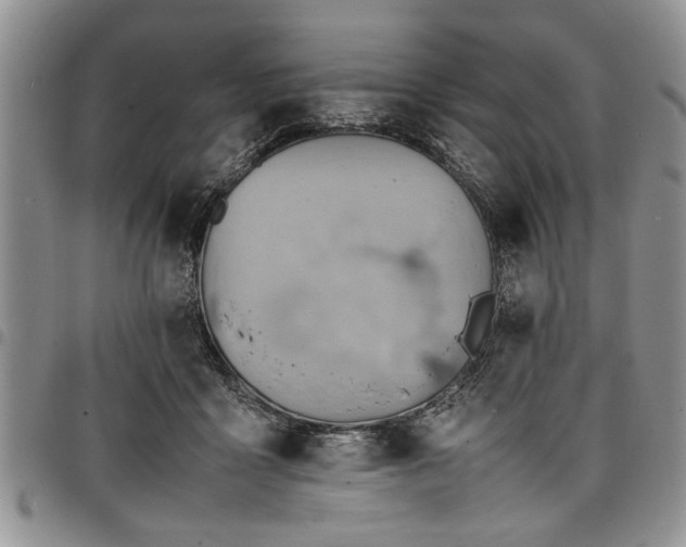 X0000098160411200804171604