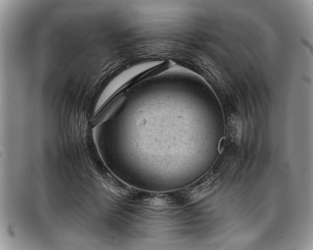 X0000098160412200804171604