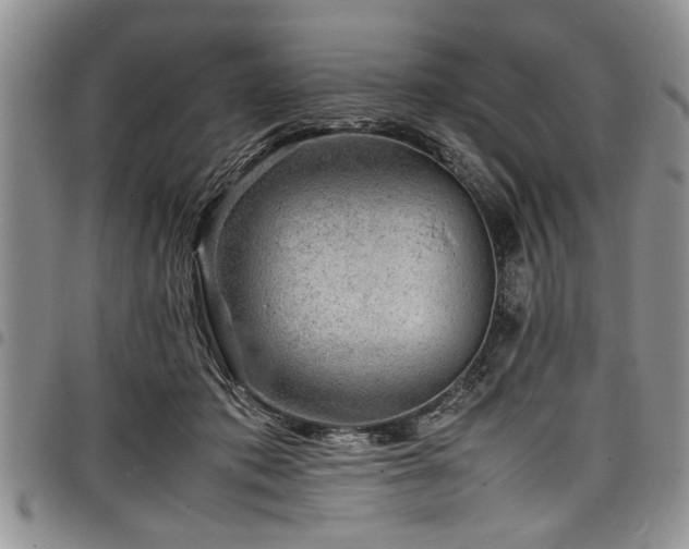X0000098160413200804171604