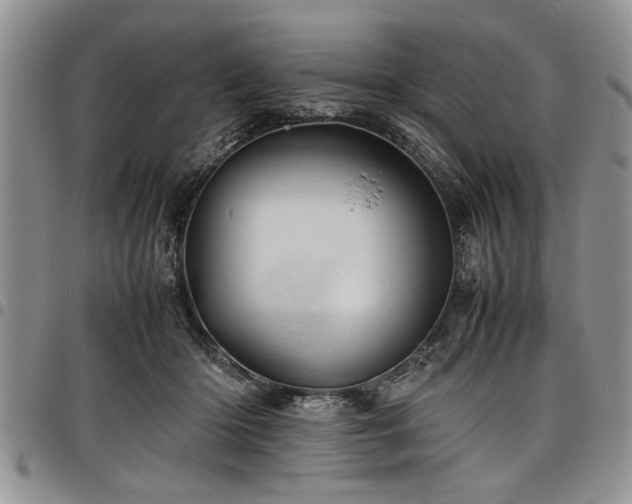 X0000098160414200804171604