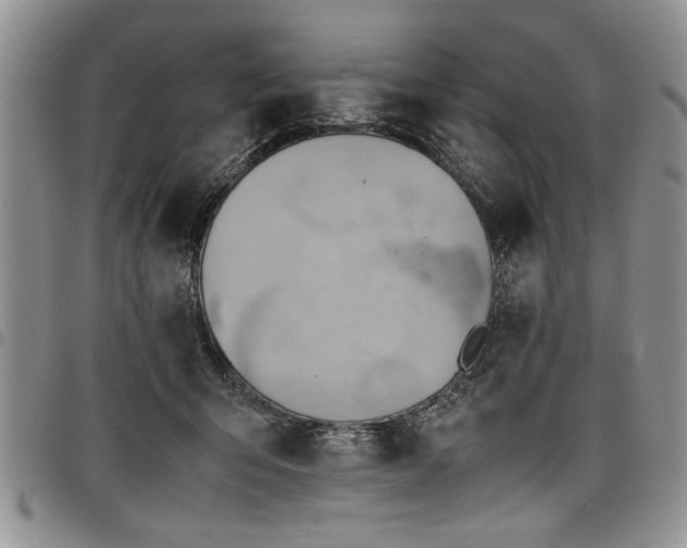 X0000098160415200804171604