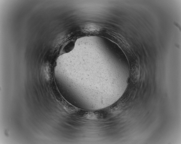 X0000098160416200804171604