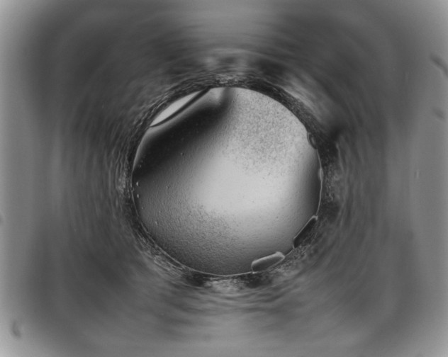 X0000098160417200804171604