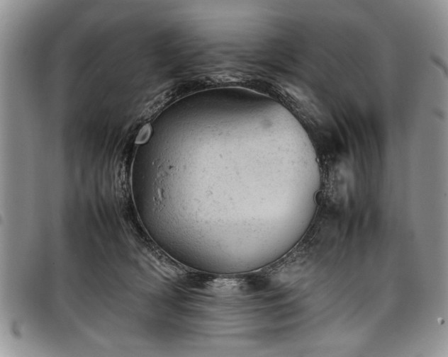 X0000098160418200804171604