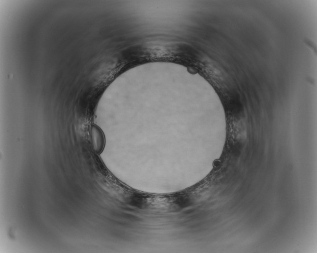 X0000098160419200804171604