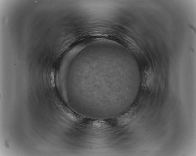 X0000098160420200804171604