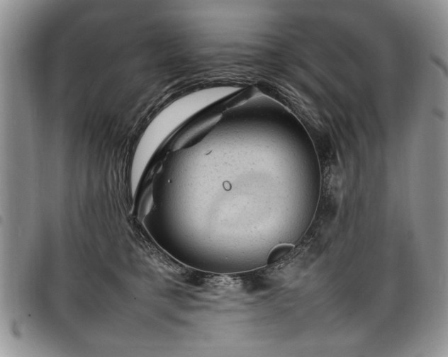 X0000098160421200804171604
