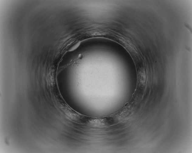 X0000098160422200804171604