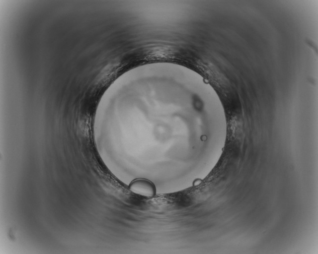 X0000098160423200804171604