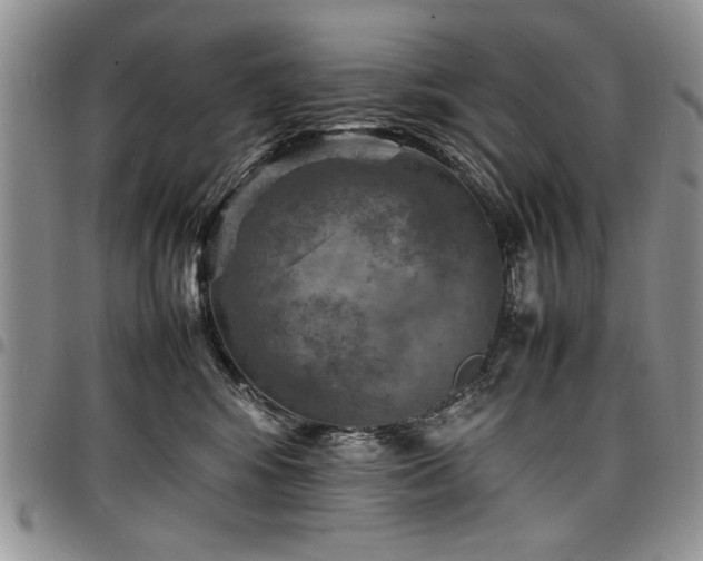 X0000098160424200804171604