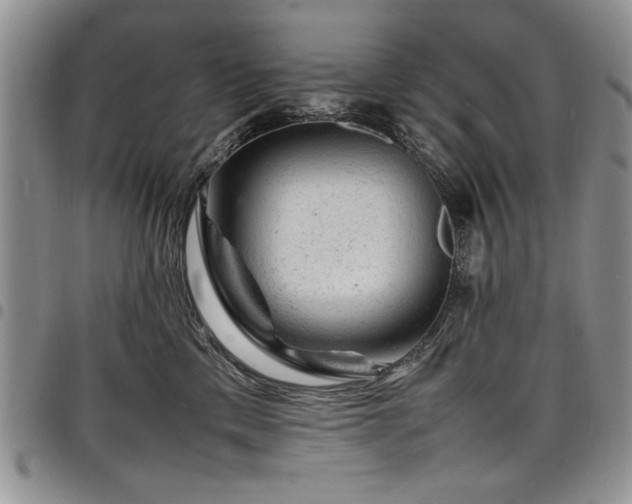 X0000098160425200804171604