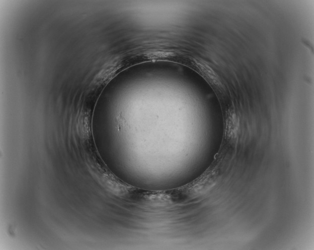 X0000098160426200804171604