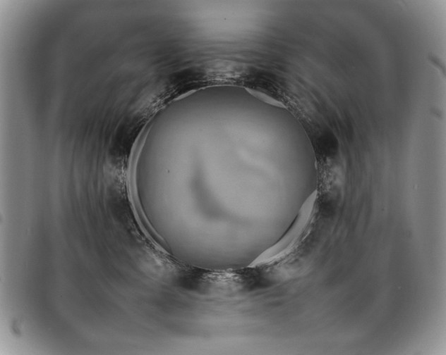 X0000098160427200804171604