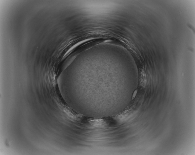 X0000098160428200804171604