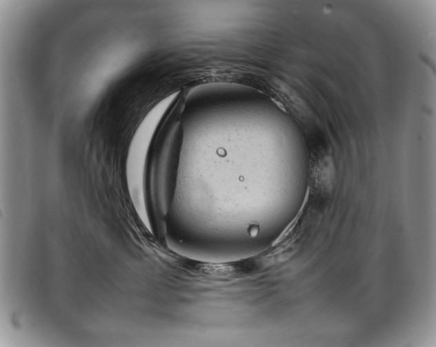X0000098160429200804171604