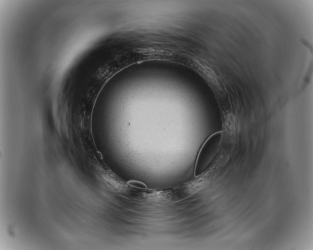 X0000098160430200804171604