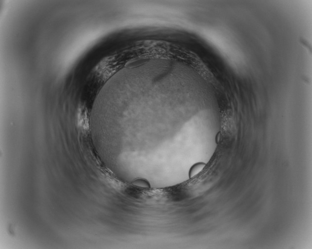 X0000098160431200804171604
