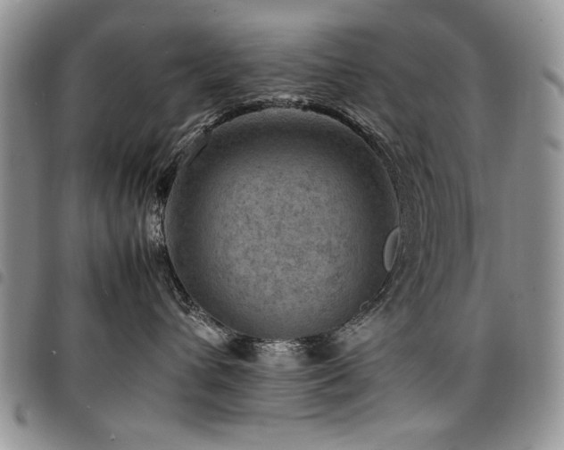 X0000098160432200804171604