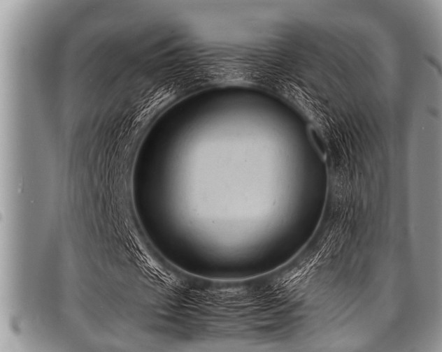 X0000098160433200804171603