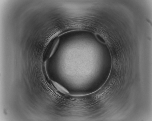 X0000098160434200804171603