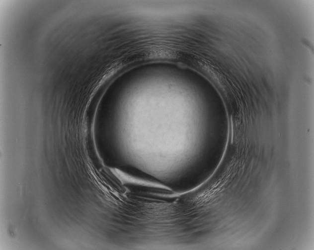 X0000098160435200804171603