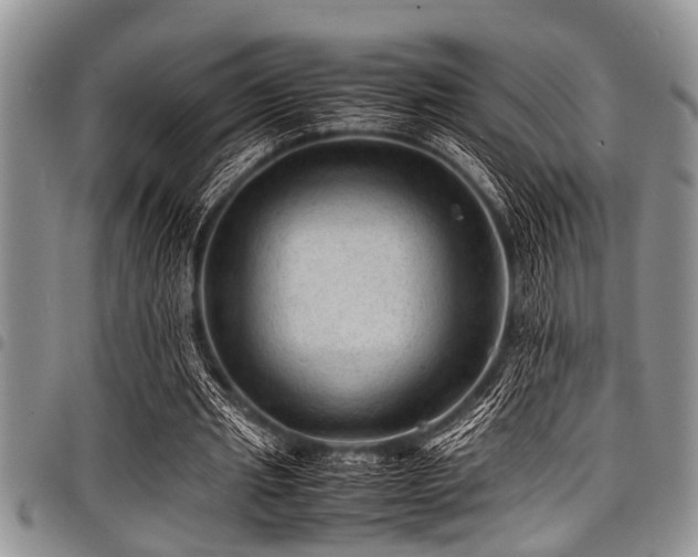 X0000098160437200804171603