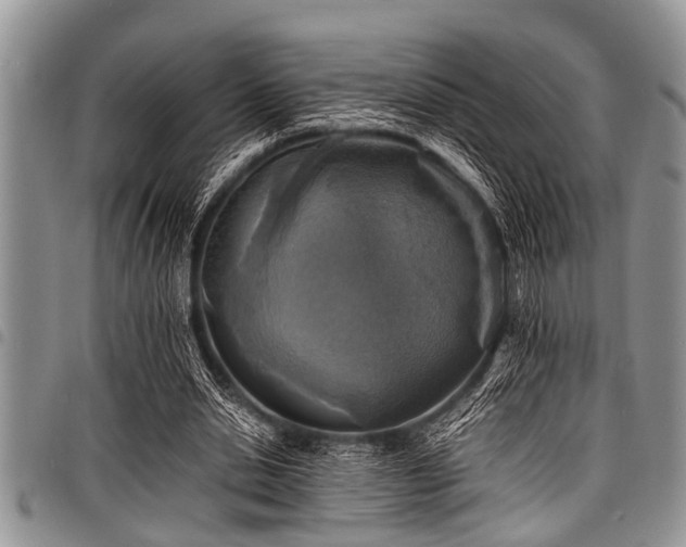 X0000098160438200804171603