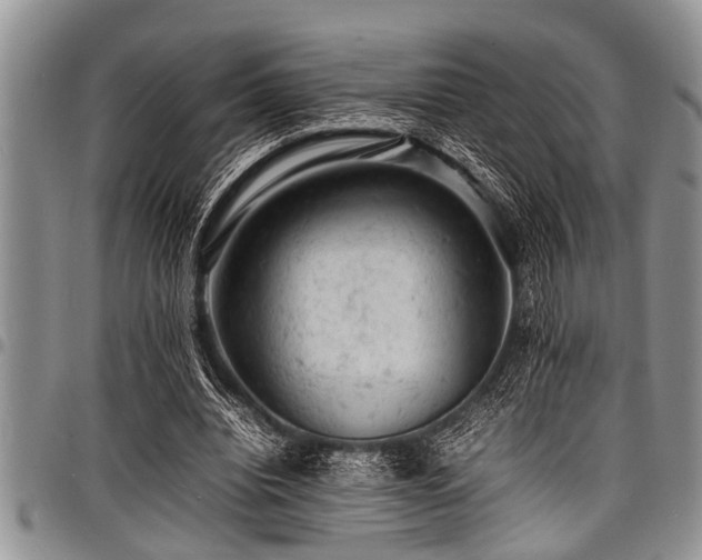 X0000098160440200804171603
