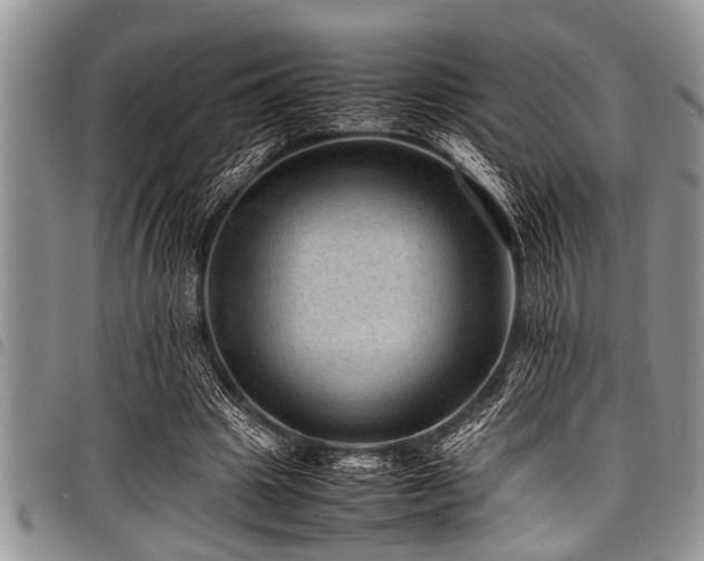 X0000098160441200804171603