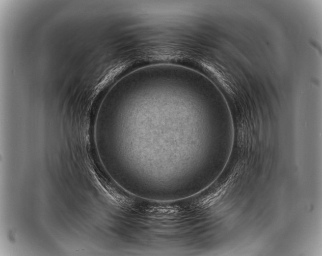 X0000098160443200804171603