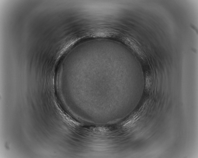 X0000098160444200804171603