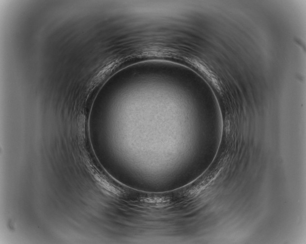 X0000098160445200804171603