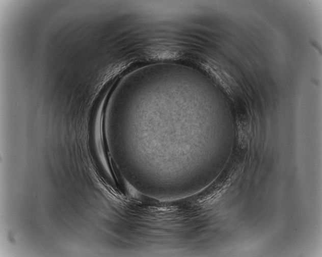 X0000098160447200804171603