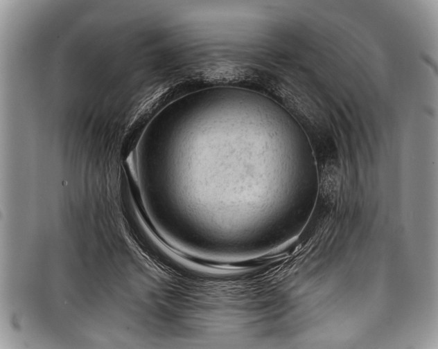 X0000098160448200804171603