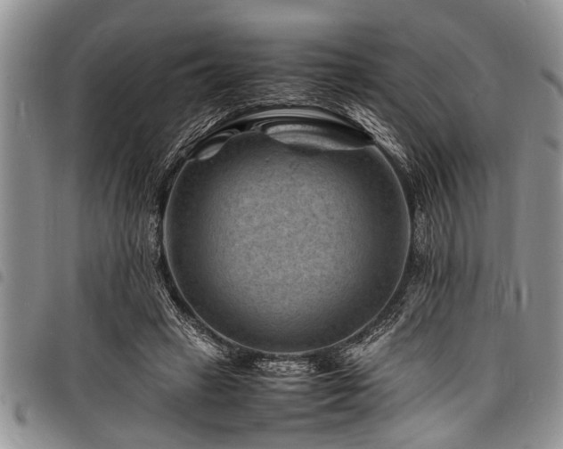 X0000098160449200804171603