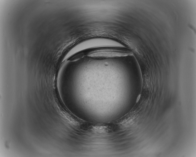 X0000098160450200804171603